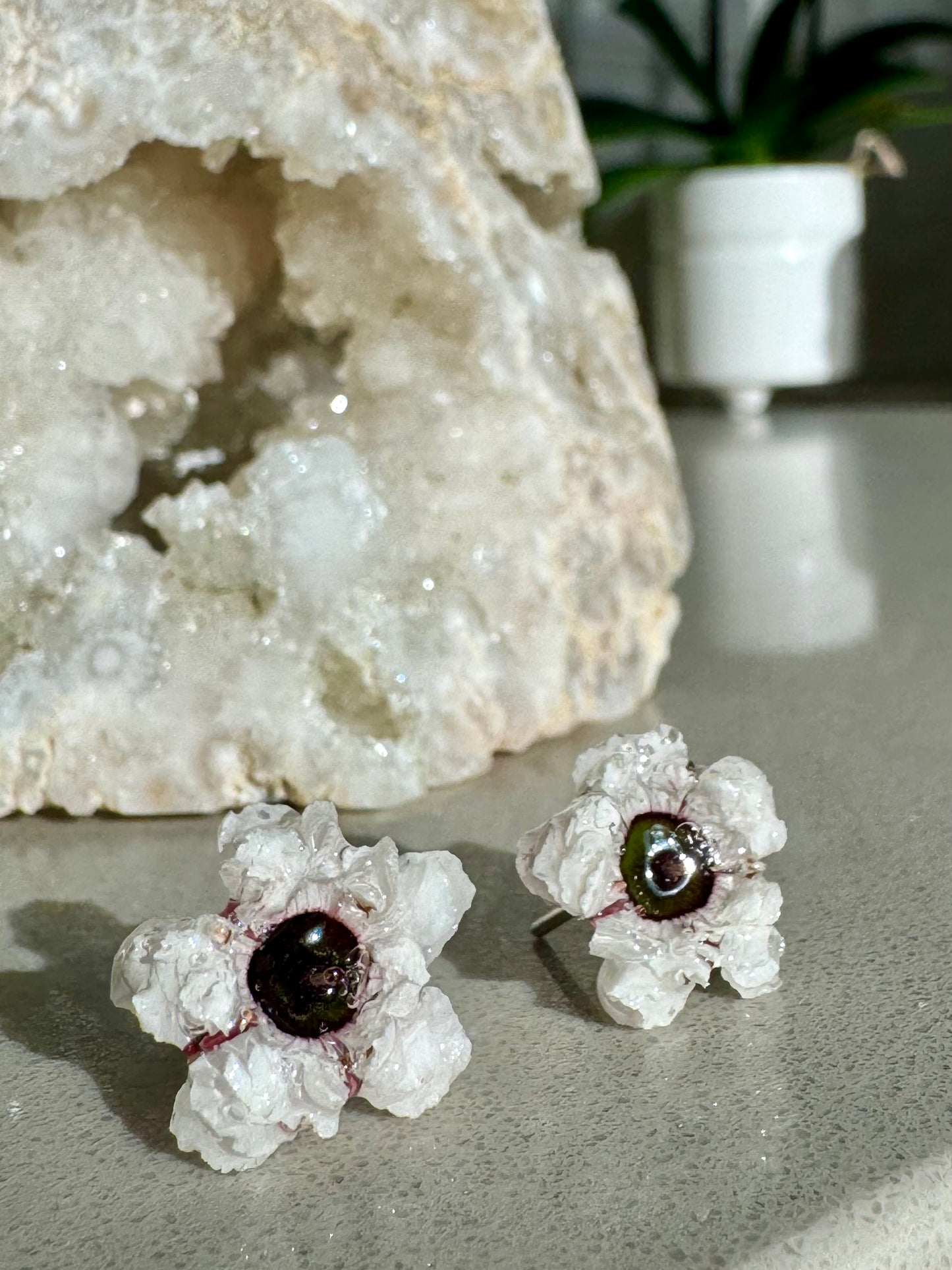 GENUINE TEA TREE BLOSSOM STUDS
