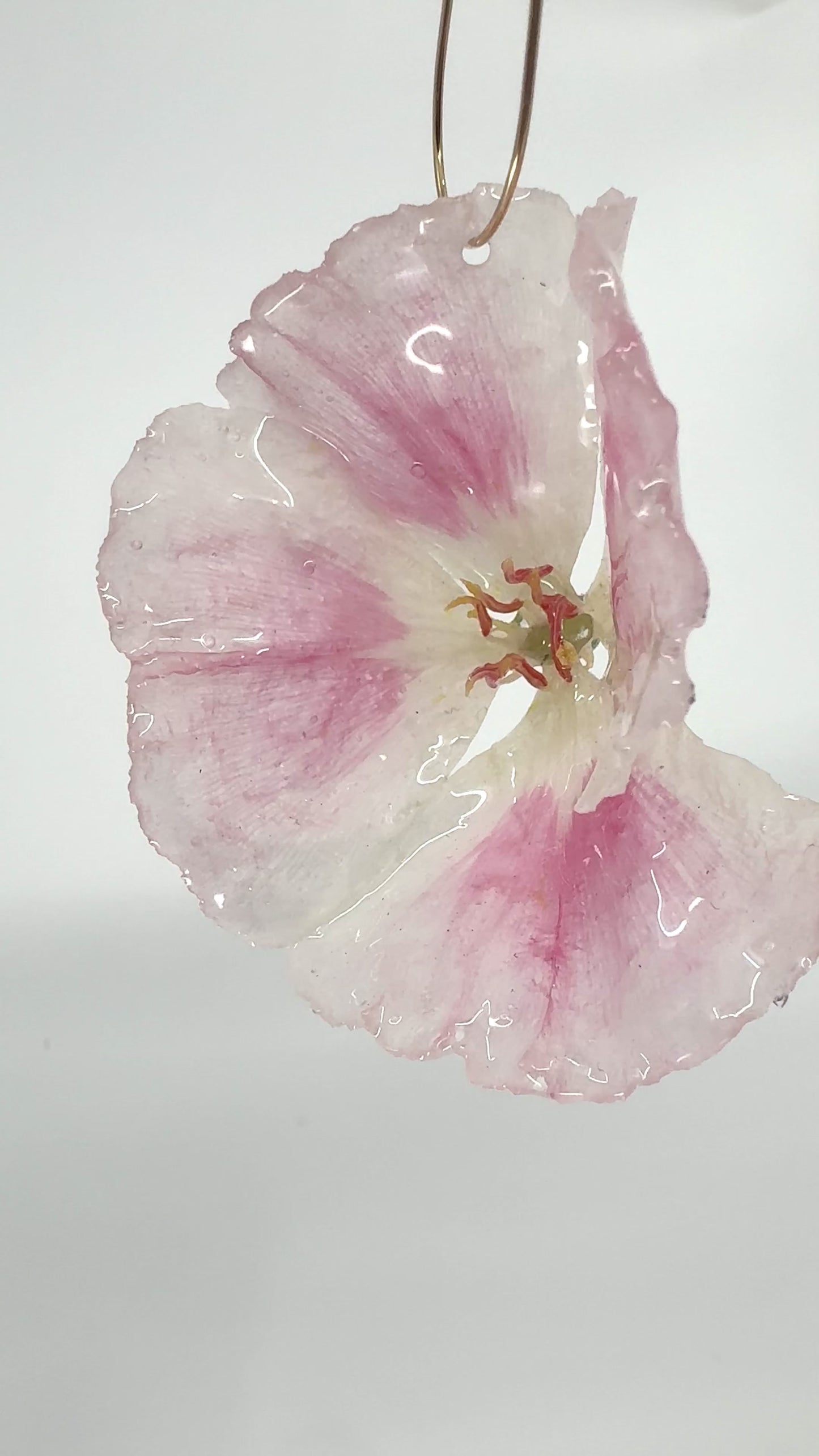 GENUINE GODETIA DROP EARRINGS | GOLD FILLED